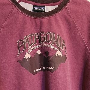 Patagonia crew Sweatshirt  with brand name and snow- capped mountains graphic.